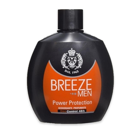 Immagine di BREEZE DEO SQUEEZE 100ML POWER PROT.