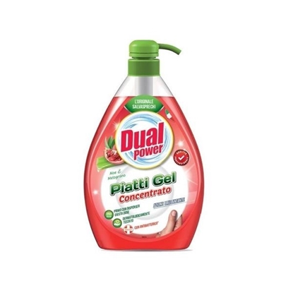 Immagine di DUALPOWER PIATTI GEL CONC. 1LT ALOE & MELOGRANO