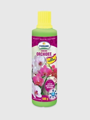 Immagine di FIORAND CONCIME LIQUIDO 500GR ORCHIDEE