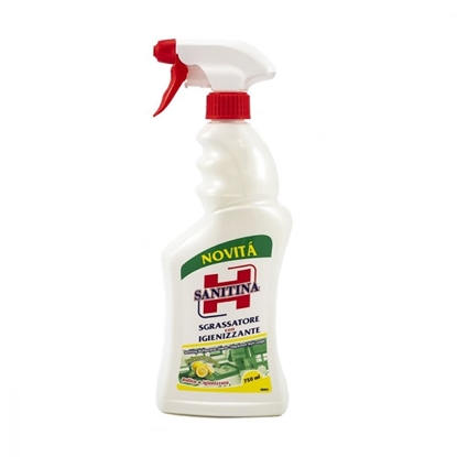 Immagine di SANITINA PMC SGRASS. 750ML DISINFETTANTE LIMONE