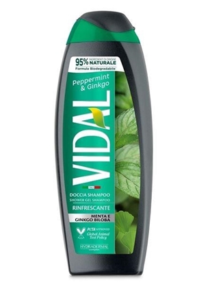 Immagine di VIDAL DOCCIA 250ML MINT & GINKGO NEW BIO