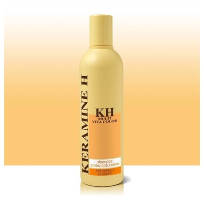 Immagine di KERAMINE H SH. 300ML PROTEZIONE COLORE