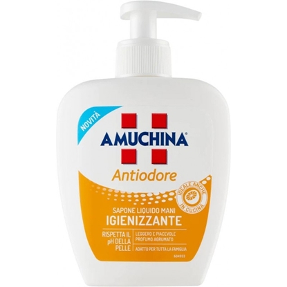 Immagine di AMUCHINA SAP. LIQ. 250ML ANTIODORE