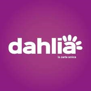 Immagine per il produttore DAHLIA