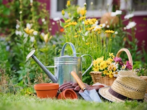 Immagine per la categoria GIARDINAGGIO