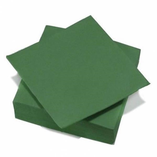 Immagine di LE NAPPAGE TOVAGLIOLO 33X33 50PZ VERDE FORESTA 100% NATURE