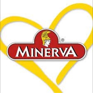 Immagine per il produttore MINERVA