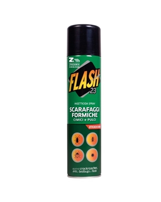 Immagine di FLASH INSETTICIDA SPRAY 250ML SCARAFAGGI & FORMICHE