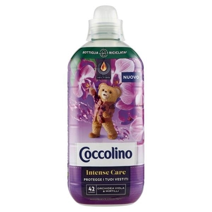 Immagine di COCCOLINO AMM. CONC. 980ML 42LAV ORCHIDEA E MIRTILLI