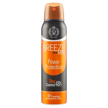 Immagine di BREEZE DEO SPRAY 150ML MEN POWER PROT.