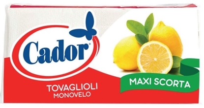 Immagine di CADOR TOV. 33X33 1V MAXI SCORTA