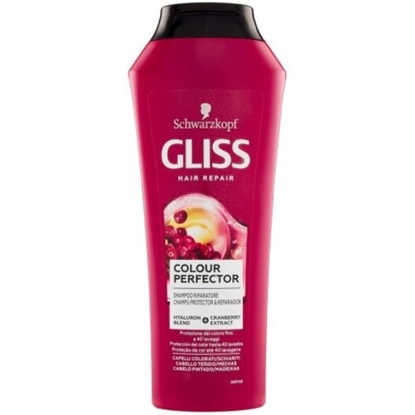 Immagine di GLISS SH. 250ML COLOR PROTECT & SHINE