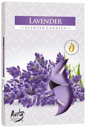 Immagine di CAU CANDELE TEA LIGHTS 6PZ LAVANDA