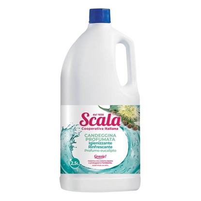 Immagine di SCALA CAND. 2,5LT EUCALIPTO