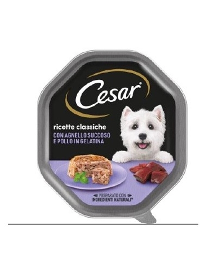 Immagine di CESAR CANE VASCH. CLASSICHE 150GR AGNELLO E POLLO IN GELATINA