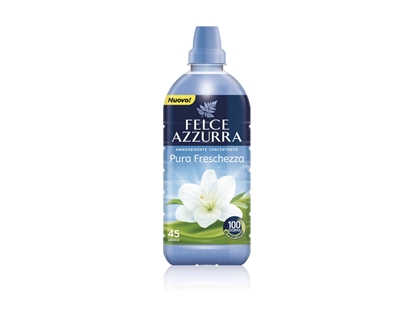 Immagine di FELCE AZZURRA AMM. CONC. 45MIS 900ML PURA FRESCHEZZA