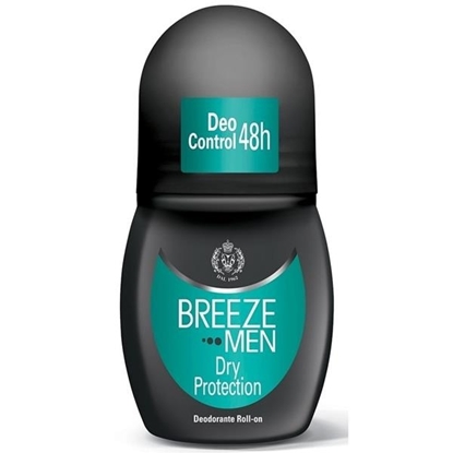 Immagine di BREEZE DEO ROLL ON MEN 50ML DRY PROTECTION