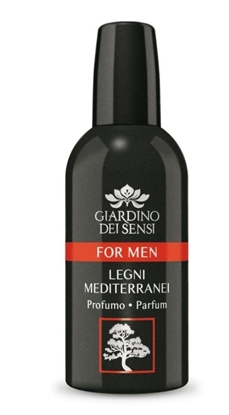 Immagine di GIARDINO DEI SENSI EDP 100ML FOR MEN LEGNI MEDIT.