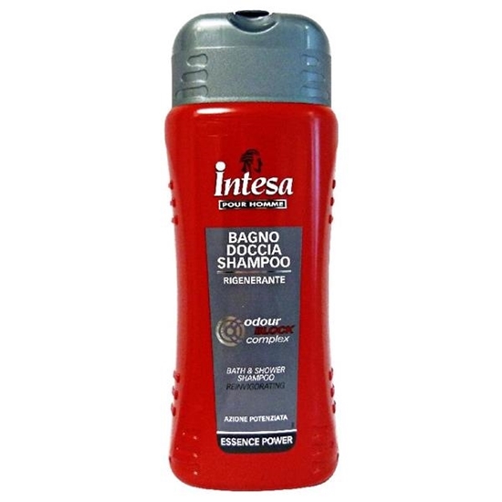 Immagine di INTESA BAGNO 500ML SILVER ODOUR